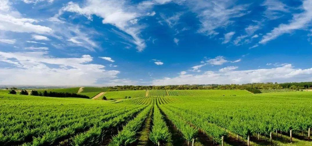 精準農業(yè)用多光譜還是高光譜遙感技術？